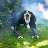 Animated Creepy Reaper Halloween Decoration
