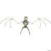 Bat Skeleton