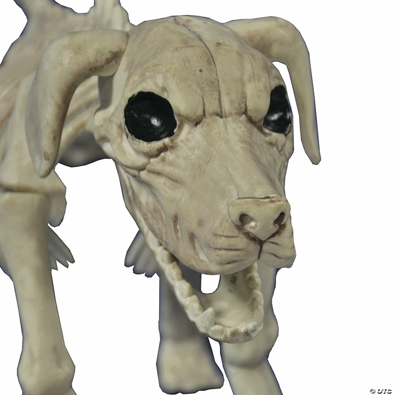 Beagle Bonez Dog Skeleton Halloween Decoration - Image 2
