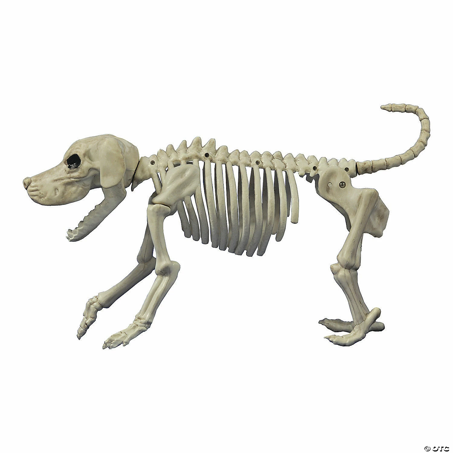 Beagle Bonez Dog Skeleton Halloween Decoration