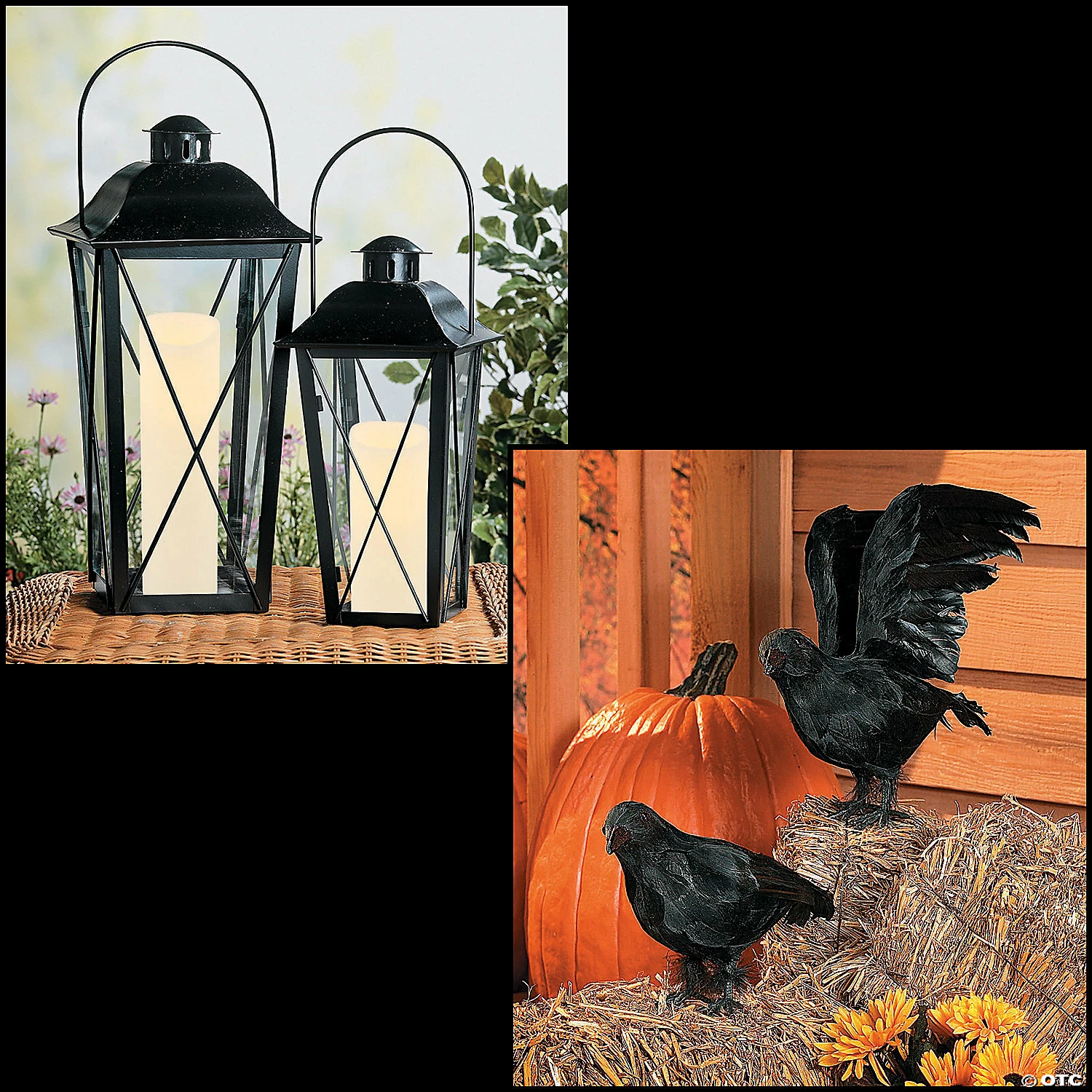 Black Lanterns & Crows Decorating Kit
