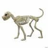 Buster Bonez Dog Skeleton Halloween Decoration