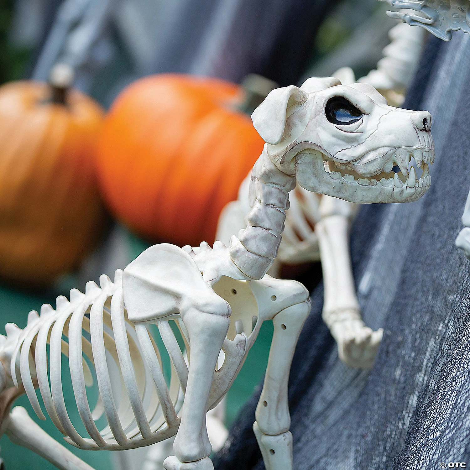 Buster Bonez Dog Skeleton Halloween Decoration - Image 2