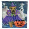 Caroline's Treasures, Halloween, Airedale Boo Hoo Halloween Flag Canvas House Size, 28 x 40, Dogs