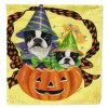 Caroline's Treasures, Halloween, Boston Terrier Halloweenies Flag Canvas House Size, 28 x 40, Dogs