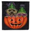 Caroline's Treasures, Halloween, Cairn Terrier Halloween PeekaBoo Flag Canvas House Size, 28 x 40, Dogs