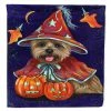Caroline's Treasures, Halloween, Cairn Terrier Halloween Witch Flag Canvas House Size, 28 x 40, Dogs
