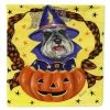 Caroline's Treasures, Halloween, Schnauzer Halloween Flag Canvas House Size, 28 x 40, Dogs