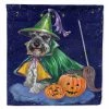 Caroline's Treasures, Halloween, Schnauzer Halloween Good Witch Flag Canvas House Size, 28 x 40, Dogs