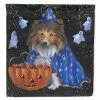 Caroline's Treasures, Halloween, Sheltie Halloween Witch Flag Canvas House Size, 28 x 40, Dogs