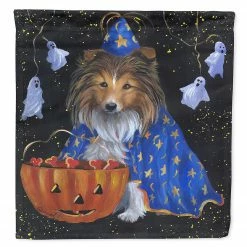Caroline's Treasures, Halloween, Sheltie Halloween Witch Flag Canvas House Size, 28 x 40, Dogs