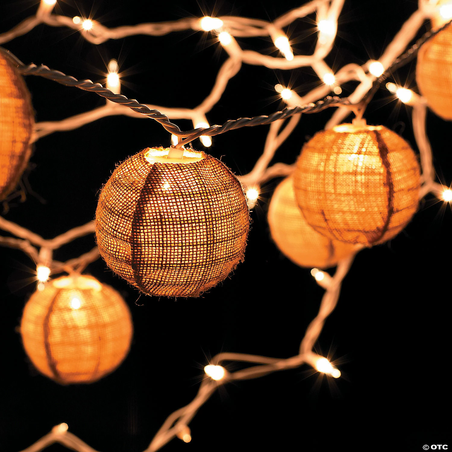 Clear White Wire String Lights - Image 3