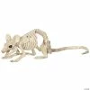 Crawling Rat Skeleton
