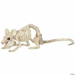 Crawling Rat Skeleton