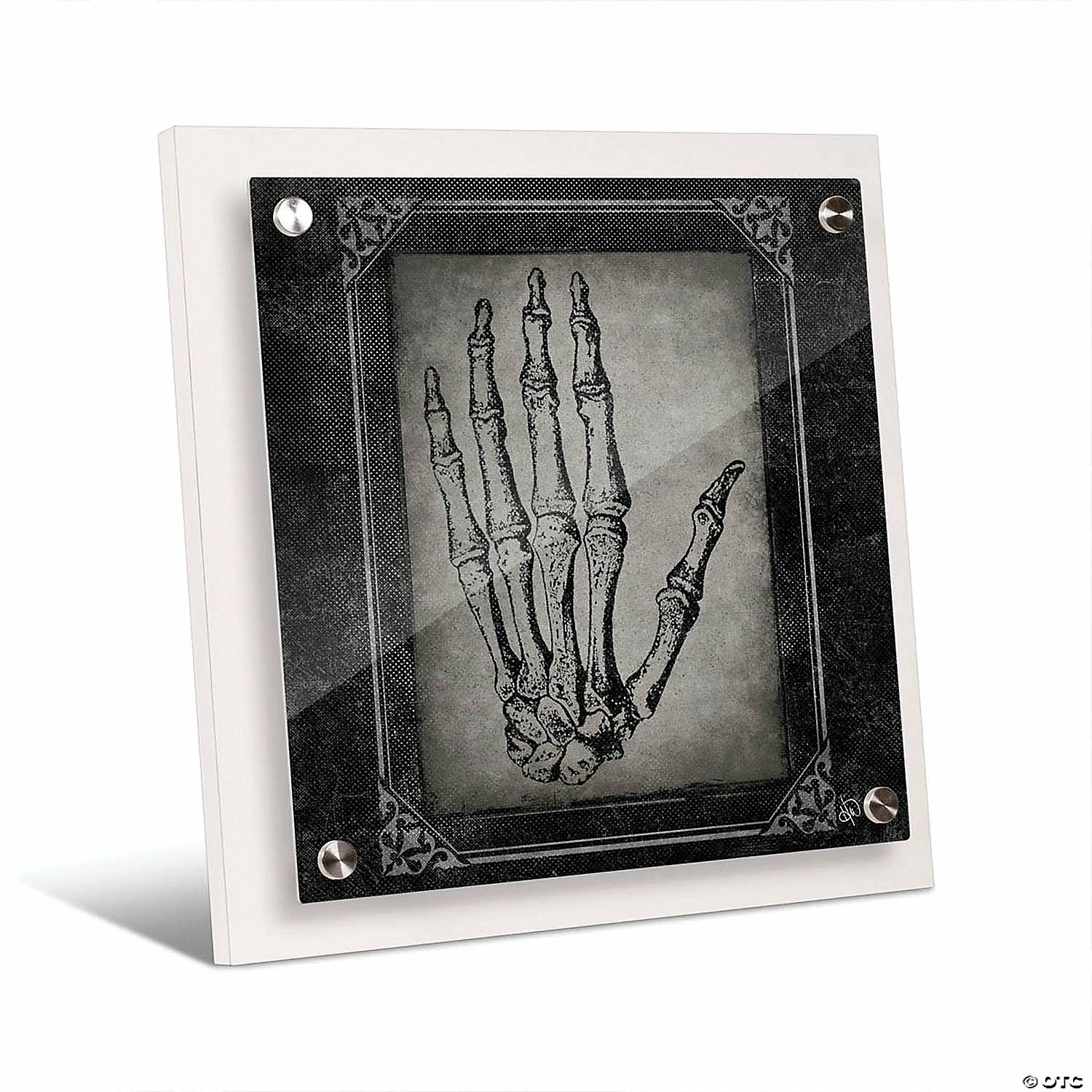 Creative Gallery "Boney Hands Epsilon" 14x14 Acrylic Float Wall Art Print