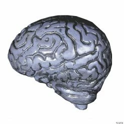 Grey Human Brain Halloween Decoration