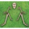 Ground Breaker Skeleton