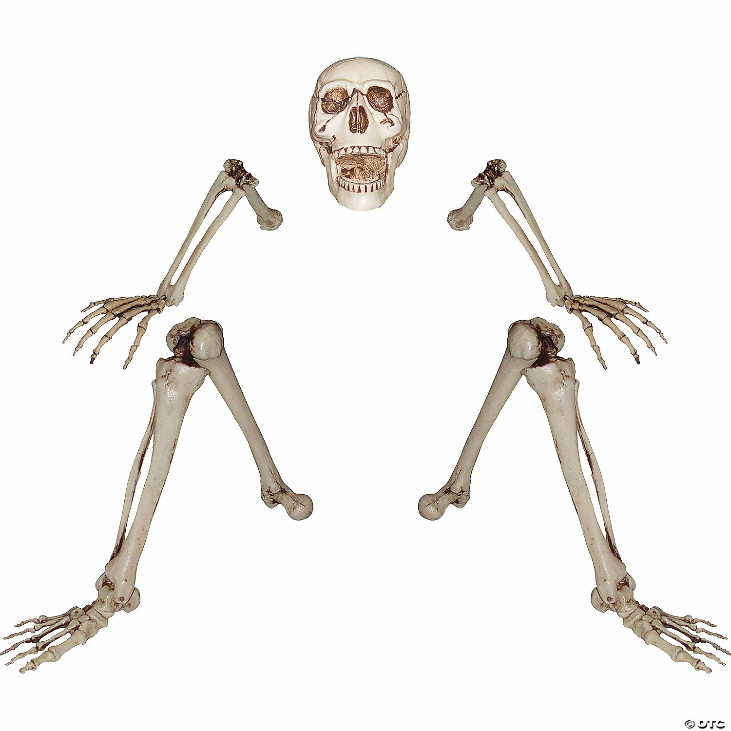 Ground Breaker Skeleton - Image 2