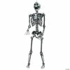 Light-Up Posable Skeleton Halloween Decoration - 5 Ft.