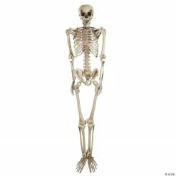 Northlight 5' Life Size Skeleton Halloween Decoration