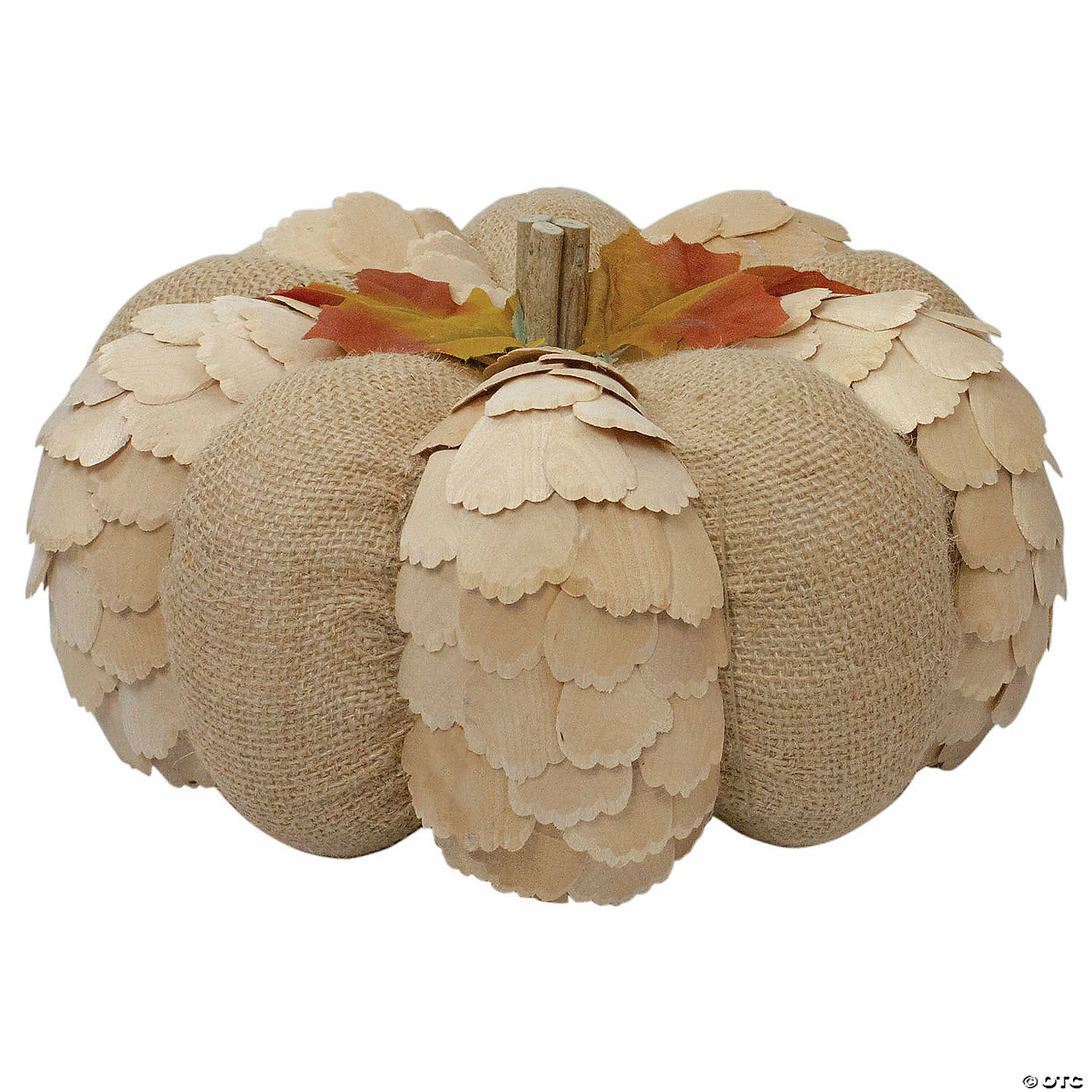 Northlight 9" Brown Autumn Harvest Tabletop Pumpkin