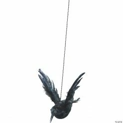 Raven W Raised Wings