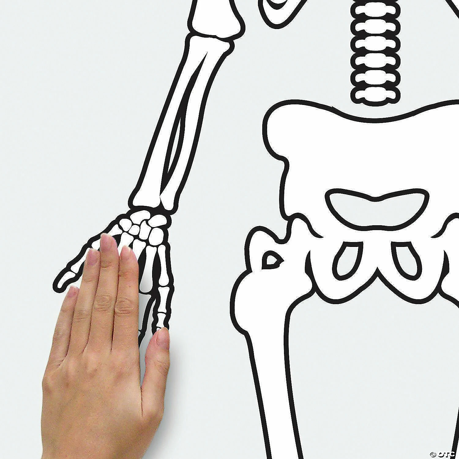 Roommates Skeleton Glow In The Dark Peel And Stick Giant Wall Decals - Image 5