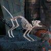 Skeleton Cat Halloween Decoration