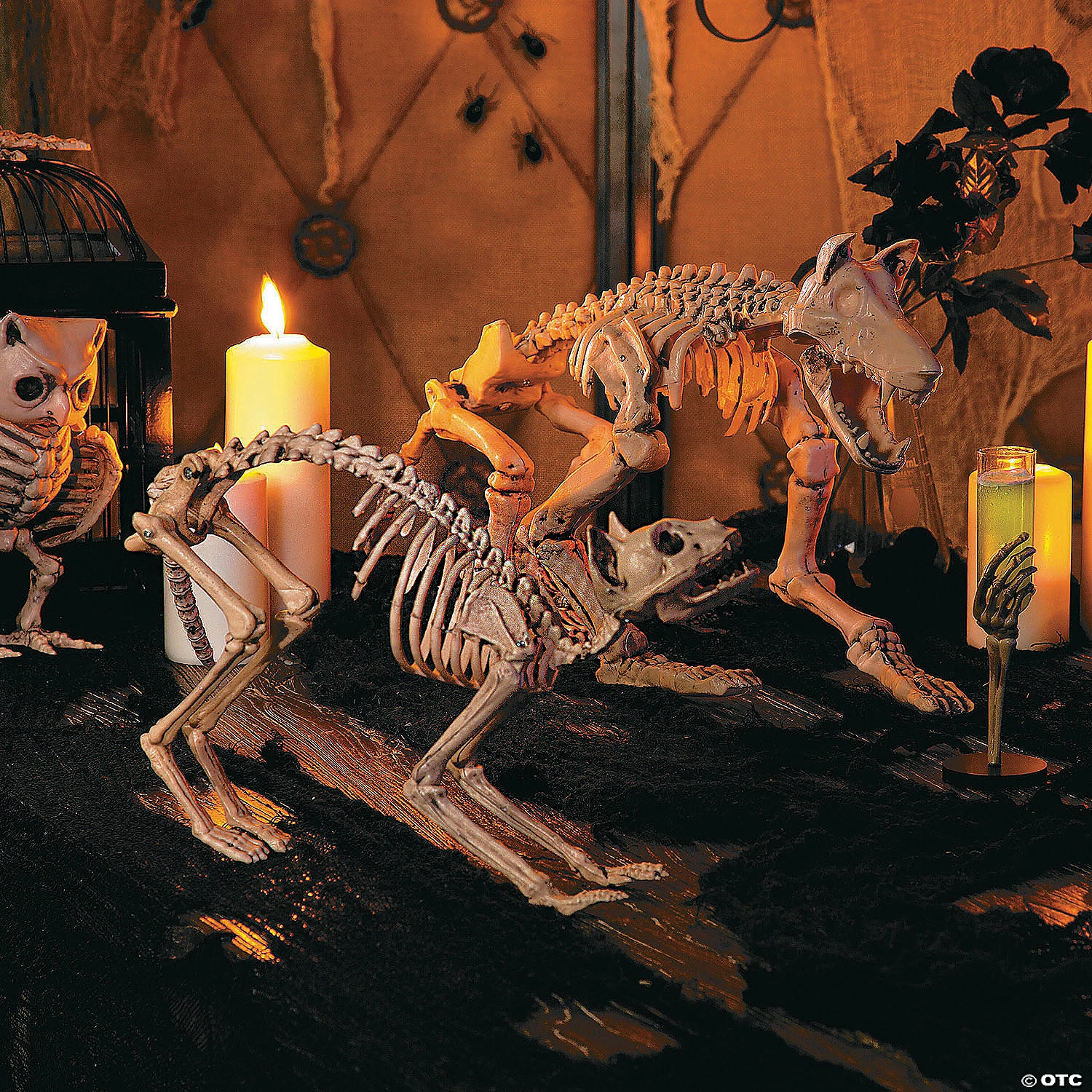 Skeleton Cat Halloween Decoration - Image 3