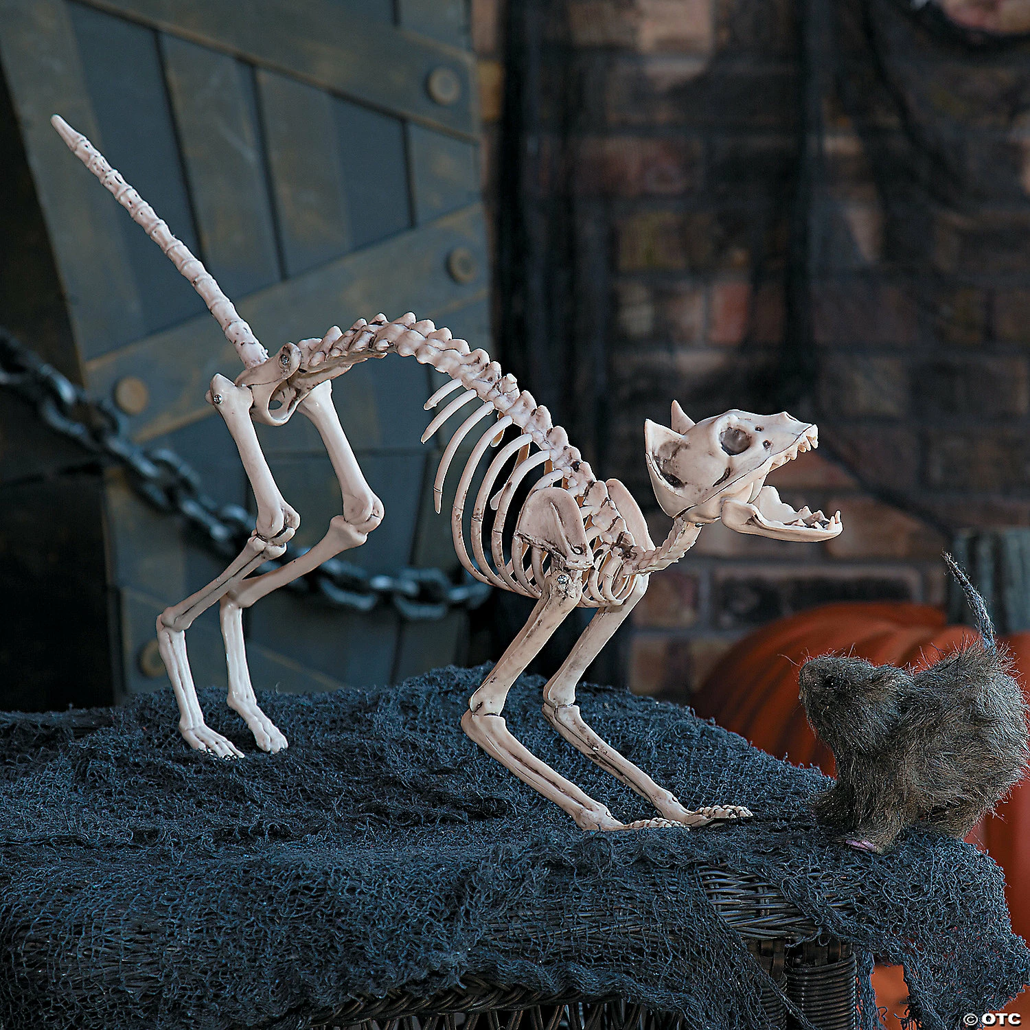 Skeleton Cat Halloween Decoration