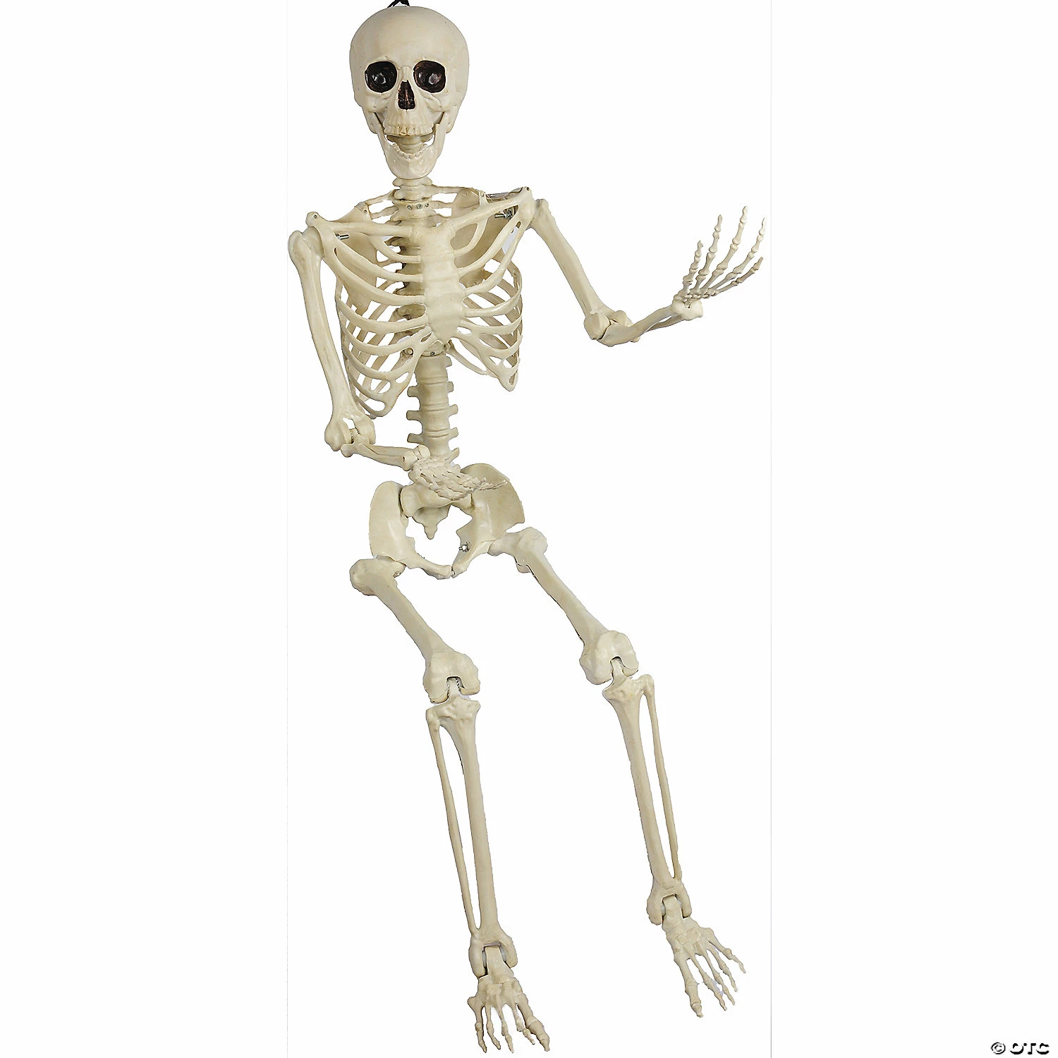 Skeleton Pose & Hold Halloween Decoration - Image 4