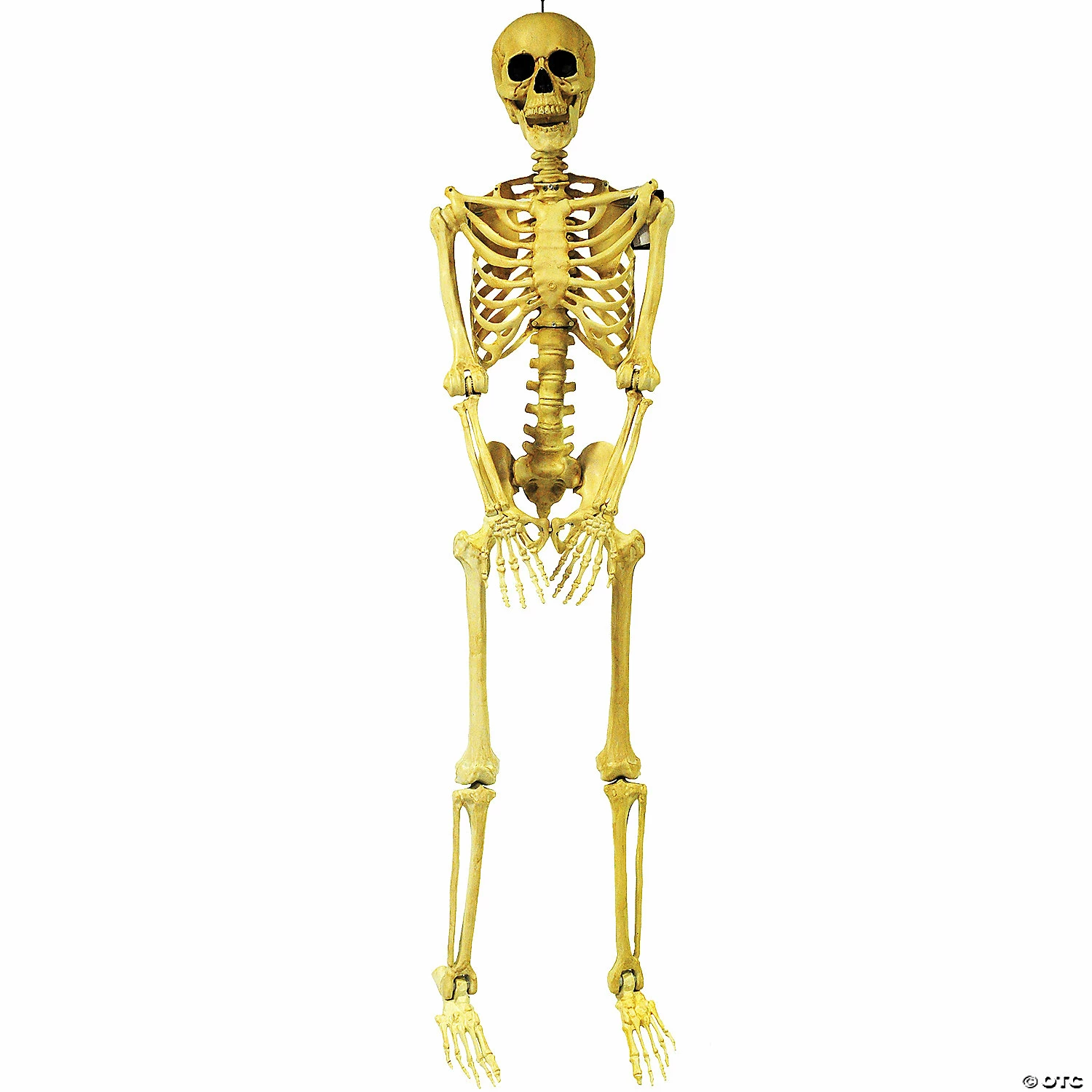 Skeleton Pose & Hold Halloween Decoration