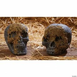 Skull Moss Covered No Jaw