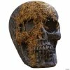 Skull Moss Covered With Jaw