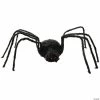 Spider Black Furry 80"