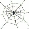 Spiderweb With Spider