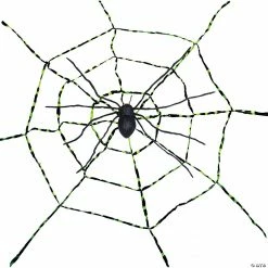 Spiderweb With Spider