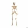 Werewolf Skeleton Halloween Decoration